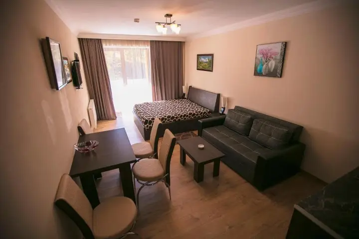 Бакуриани: Valley Apartment 313
