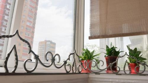 Хабаровск: Apartaments on Kalinina