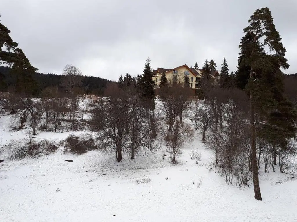 Бакуриани: EP Apartment in Mgzavrebi Bakuriani