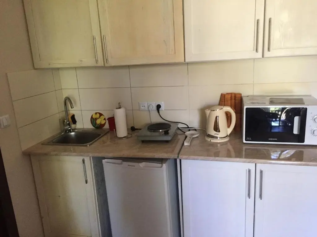 Бакуриани: EP Apartment in Mgzavrebi Bakuriani