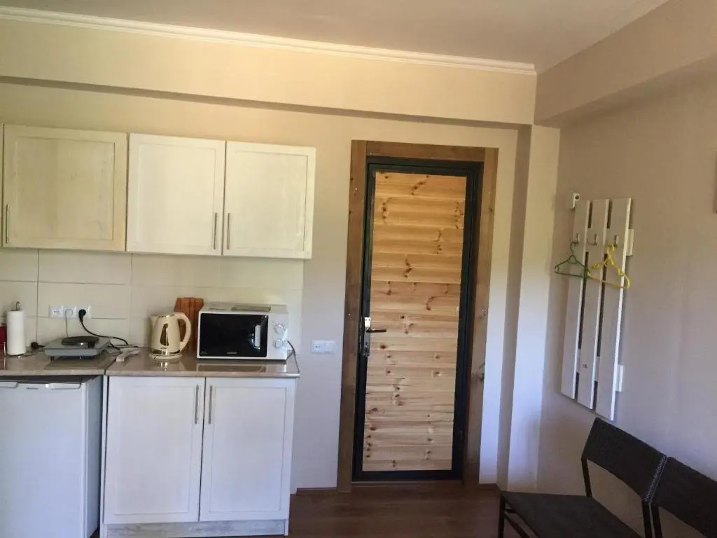 Бакуриани: EP Apartment in Mgzavrebi Bakuriani