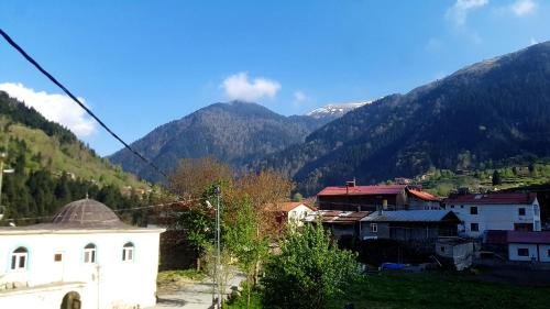 Узунгёль: Talipoğlu Apart