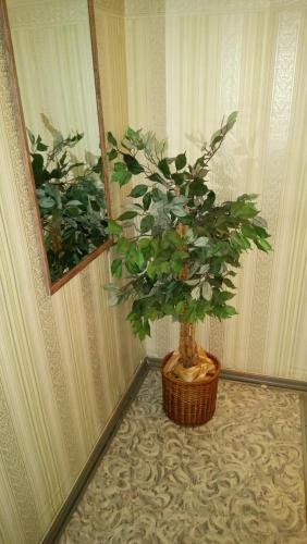 Екатеринбург: Apartment on Mamina-Sibiryaka 2