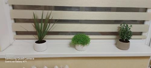 Калининград: Apartment ostrov Oktyabrskiy