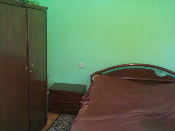 Боржоми: Guest House Manjgaladze 8