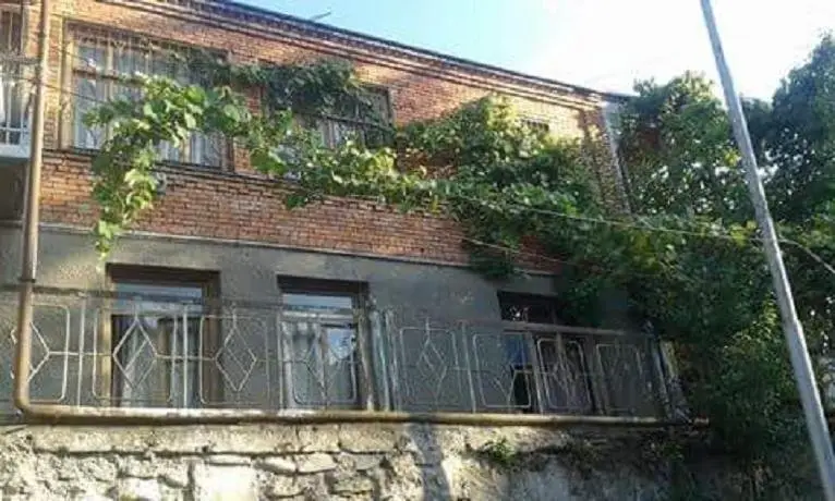 Боржоми: Guest House Manjgaladze 8