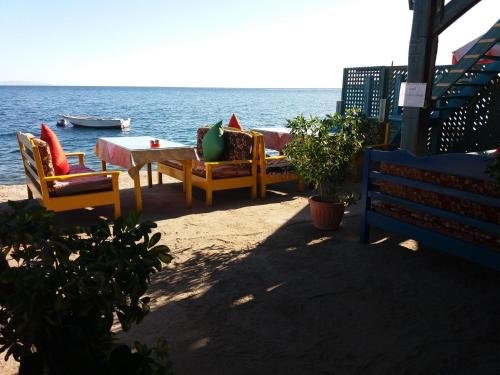 Дахаб: New Yalla Hotel