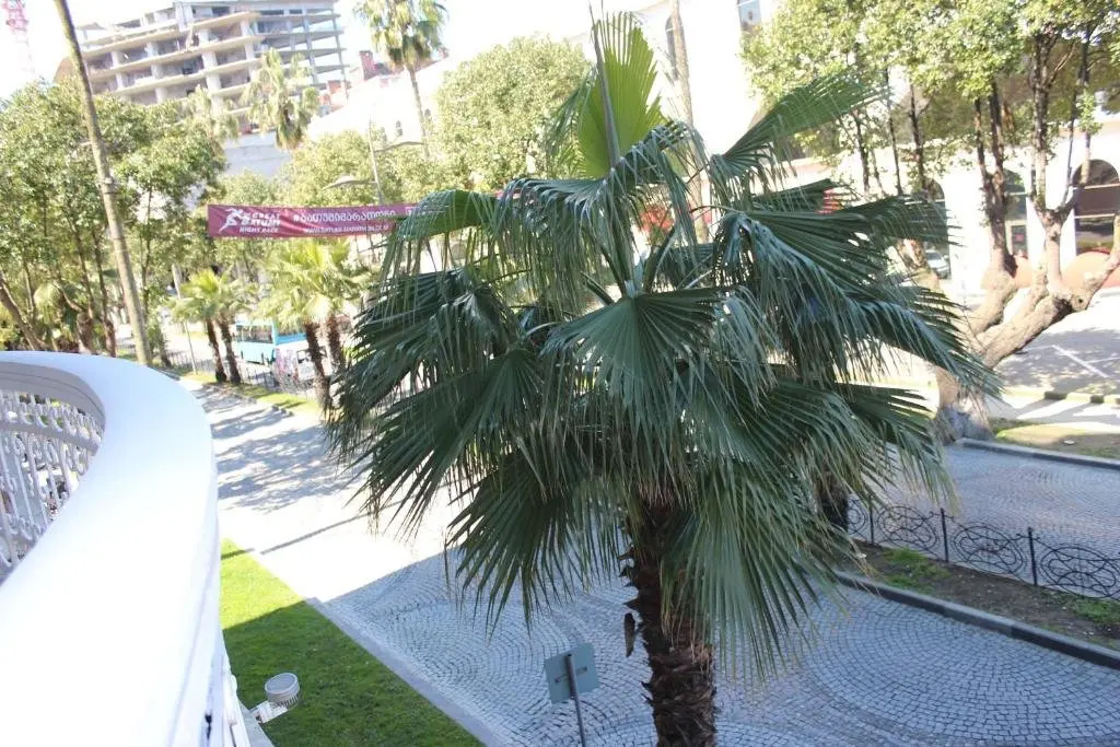 Батуми: Batumi apartment in front of Sheraton