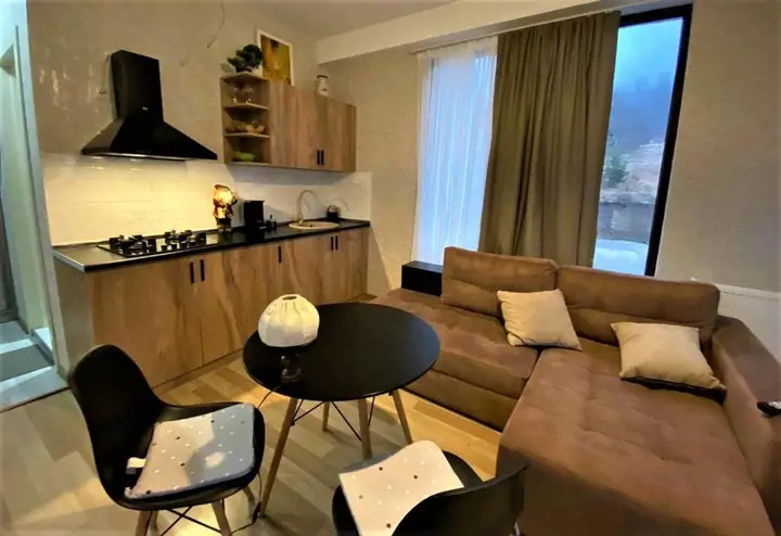 Бакуриани: Apartment 123