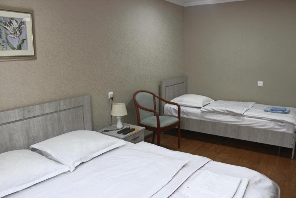 Боржоми: Apartment Erekle 6