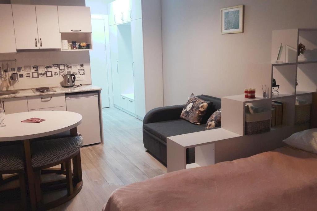 Гудаури: Loft I, Studio N 108