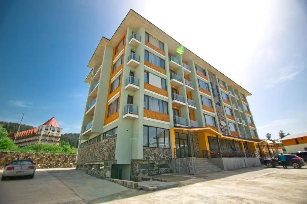 Бакуриани: HCG Villa Deluxe Premium Apartment 307