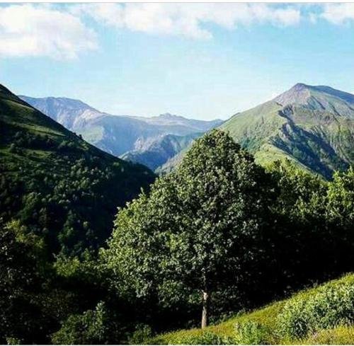 Гах: Qax Resort