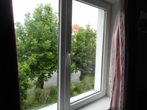 Телави: Guesthouse Ado