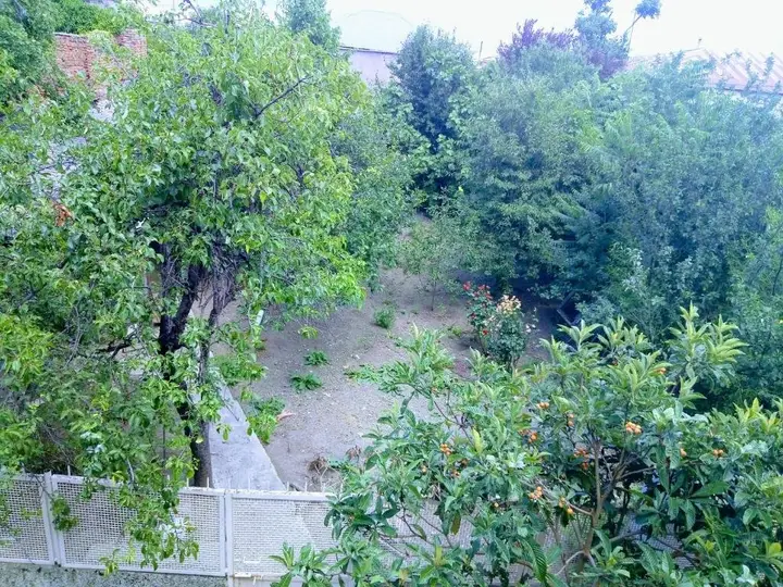 Телави: Green Lux Guesthouse