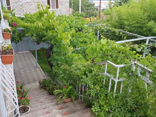 Телави: Valiko house in Telavi