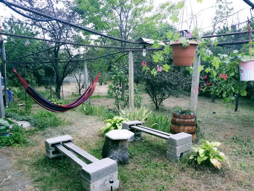 Телави: guest house NATA
