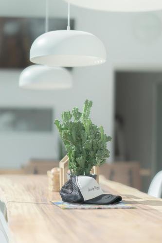 Чиангмай: Any Day House Chiangmai
