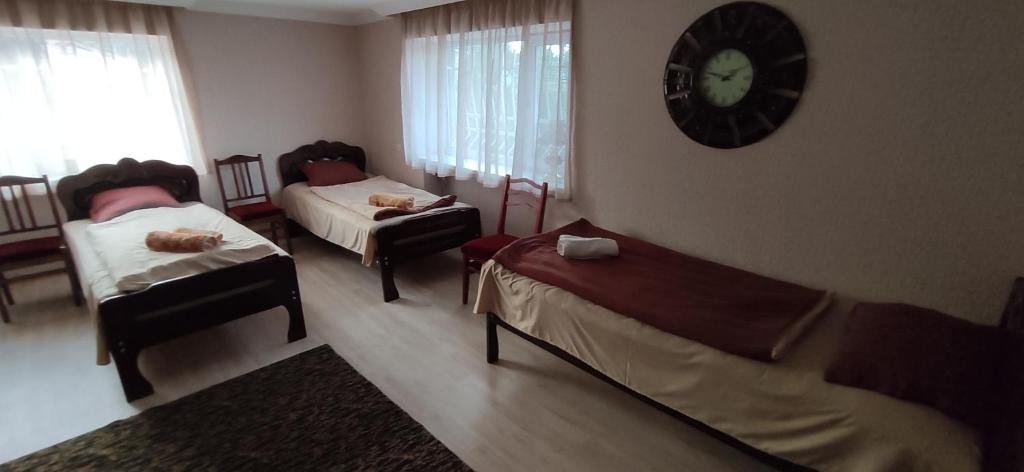 Телави: Hotel Ameli