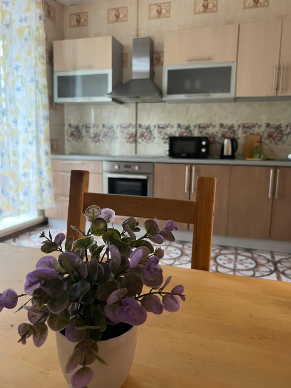 Новосибирск: Апартаменты Квартира в Центре на Шамшиных 26/1