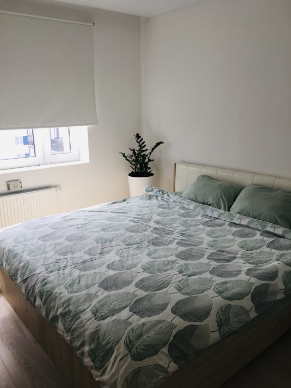 Петрозаводск: Апартаменты Кукковка 40 м