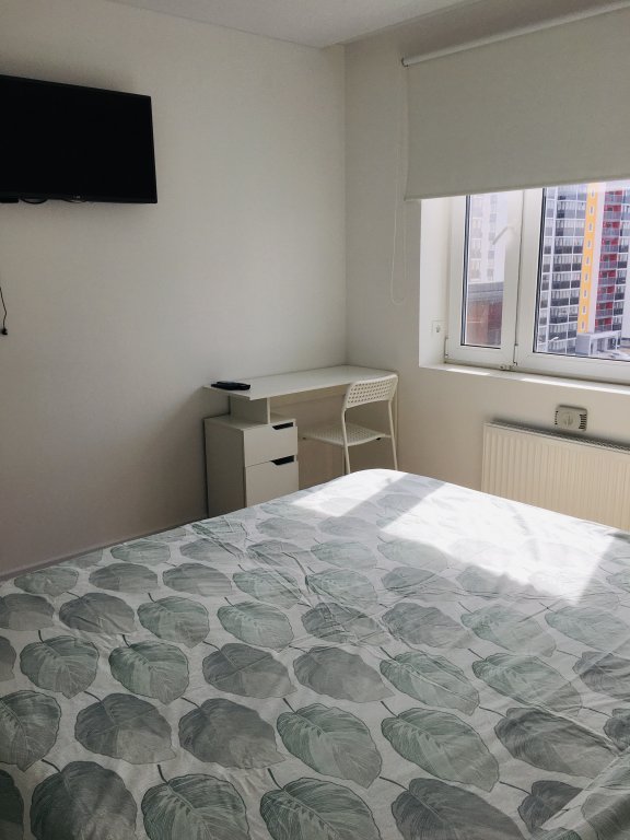 Петрозаводск: Апартаменты Кукковка 40 м