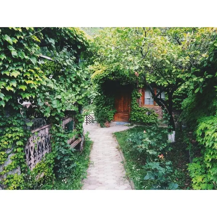 Телави: Mala’s house