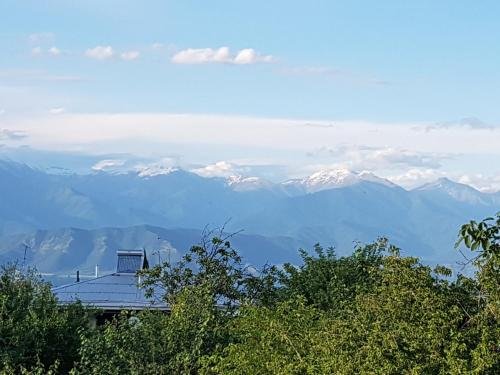 Телави: Rustaveli Guesthouse