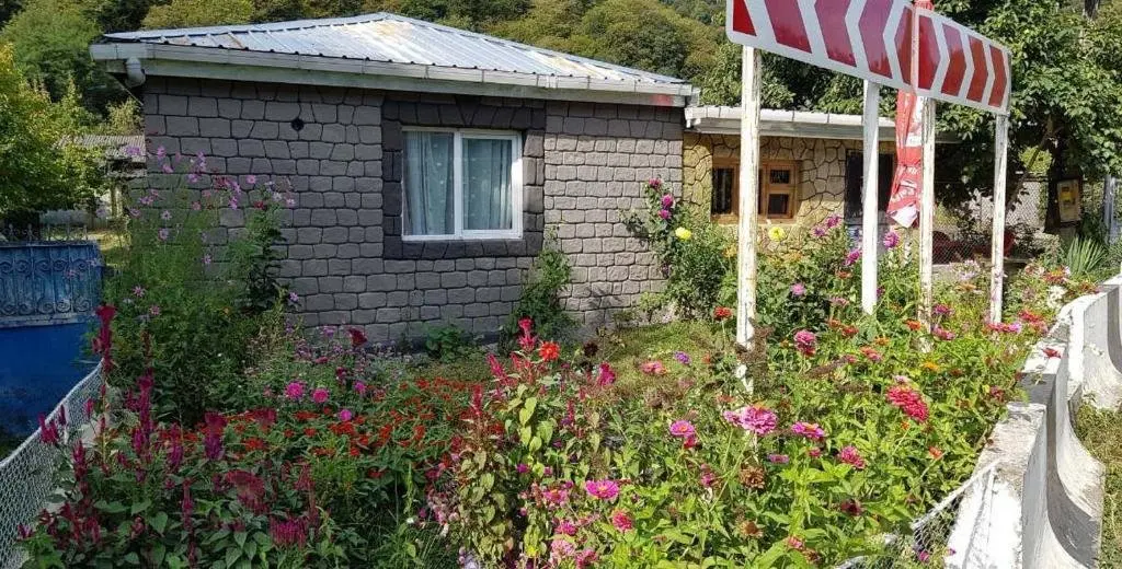 Телави: sweet home LECHURI
