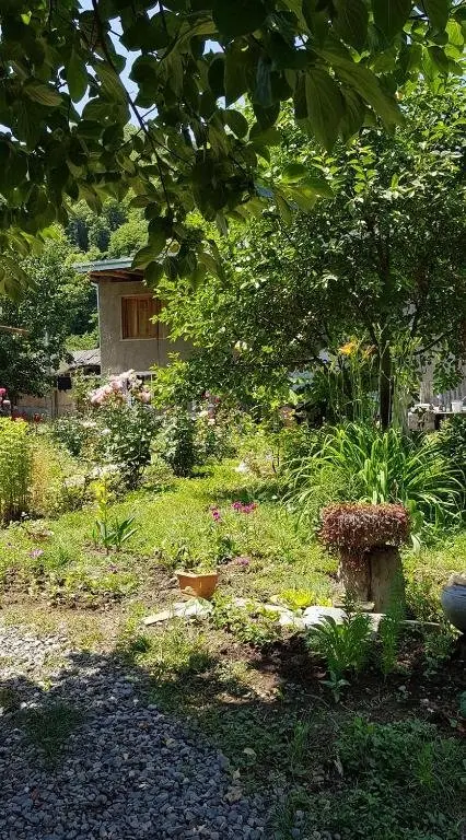 Телави: sweet home LECHURI