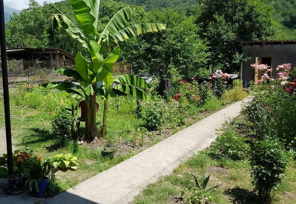 Телави: sweet home LECHURI