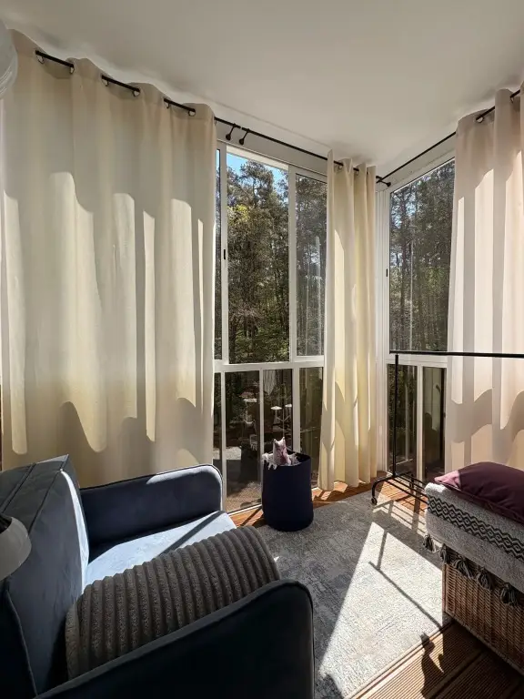 Светлогорск: Квартира Sunny Forest
