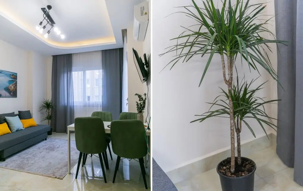 With Spa And Gim Flat — фото 1