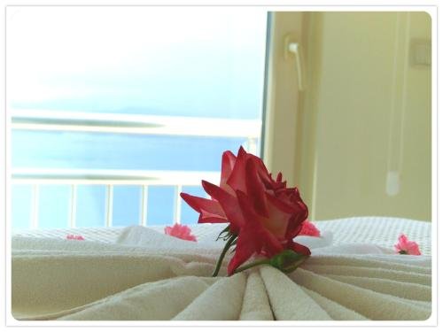 Милас: Adastra Holiday Homes Bodrum Flamingo