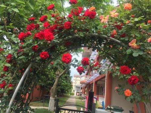 Кобулети: Guest house 3 stars Kobuleti
