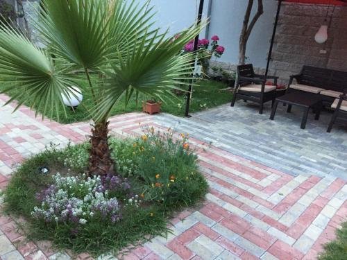 Кобулети: Guest house 3 stars Kobuleti