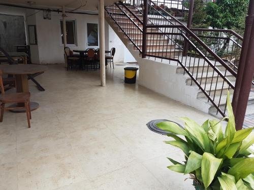 Батуми: Guesthouse in Batumi 97