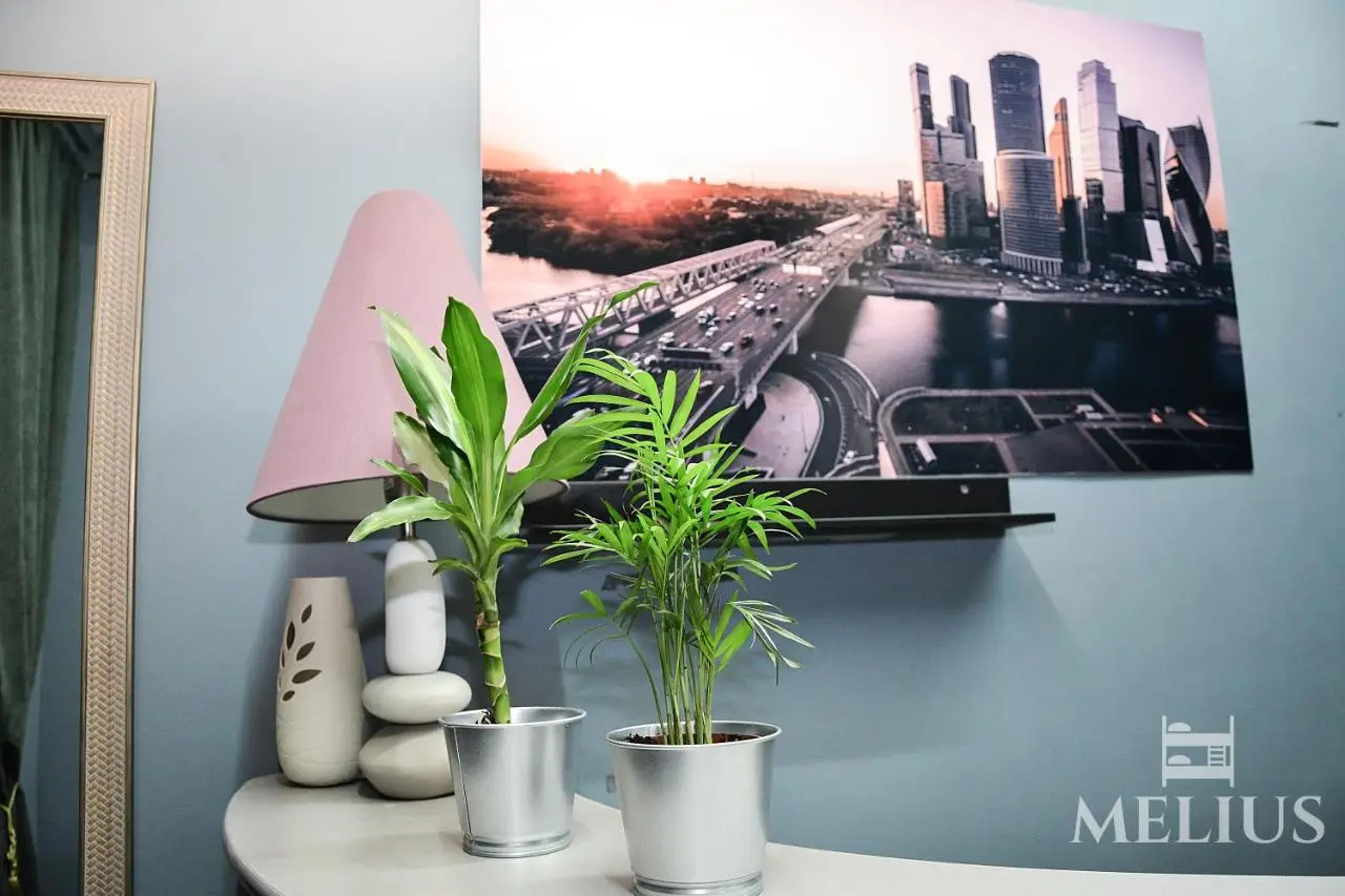 Москва: Хостел Melius