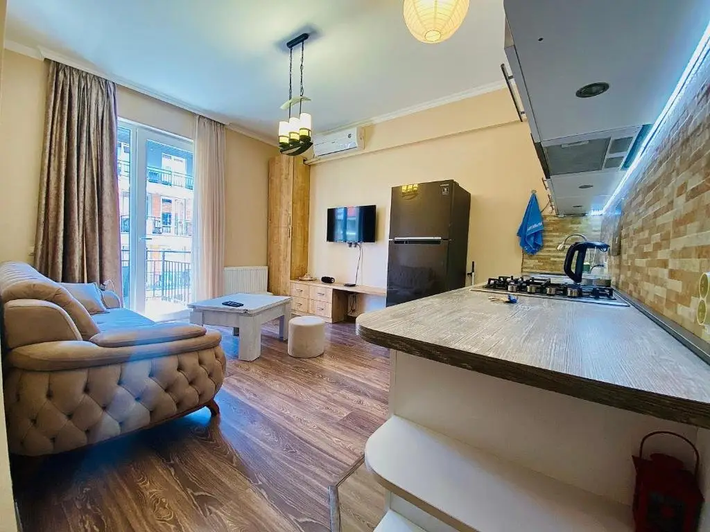 Тбилиси: fully-furnished luxury apartment hosted by beka
