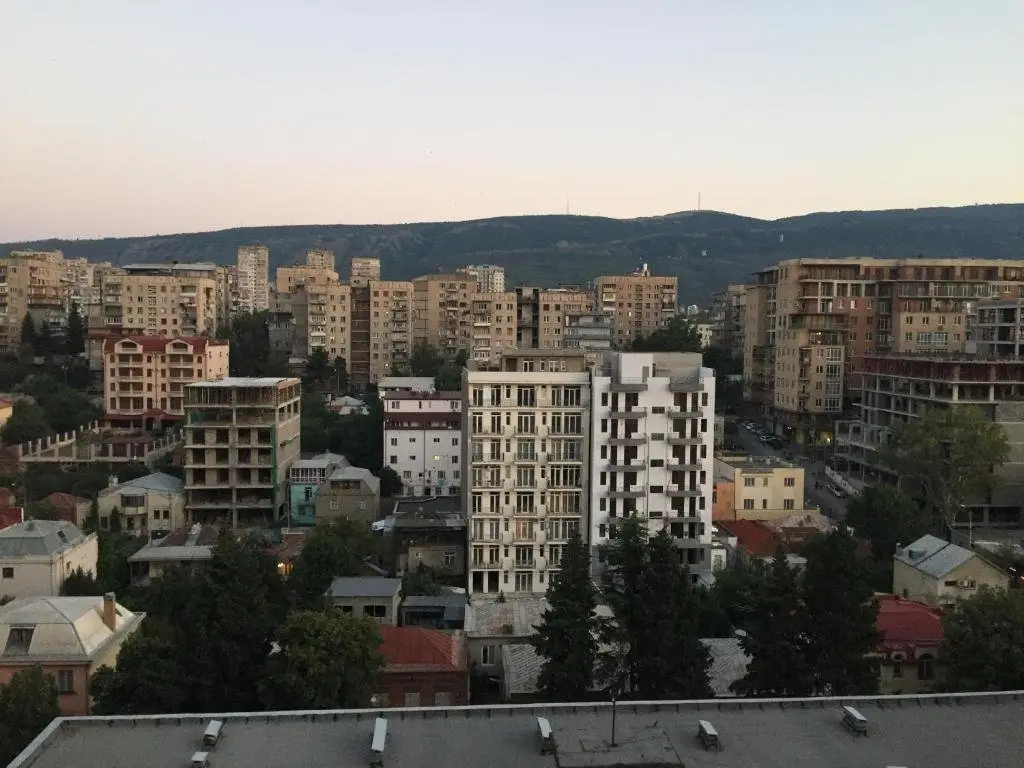 Тбилиси: Apartment on Mitskevichi 29a