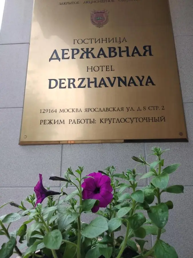 Москва: Отель Державный