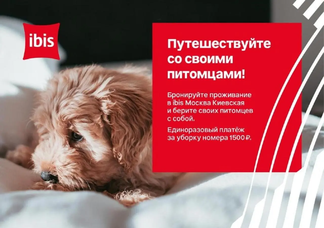 Москва: Ибис Москва Киевская