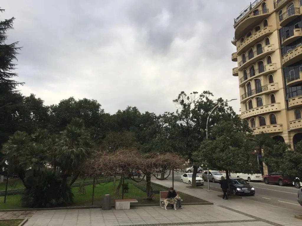 Батуми: Apartament on Zurab Gorgiladze 9