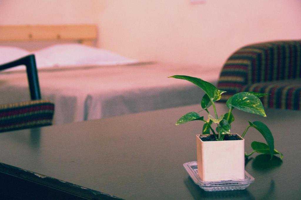 Тбилиси: Al. Diuma Street 15 apartment