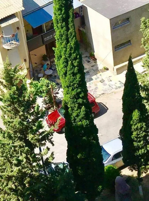 Тбилиси: Original Apartment