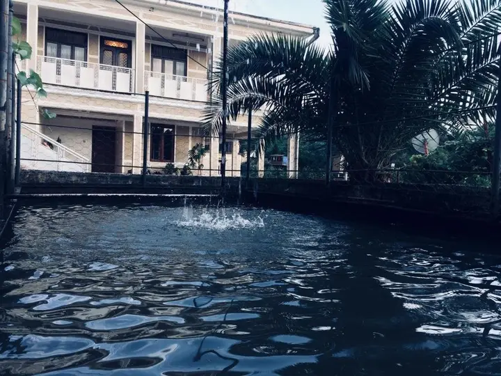 Батуми: Tamu's Guest House