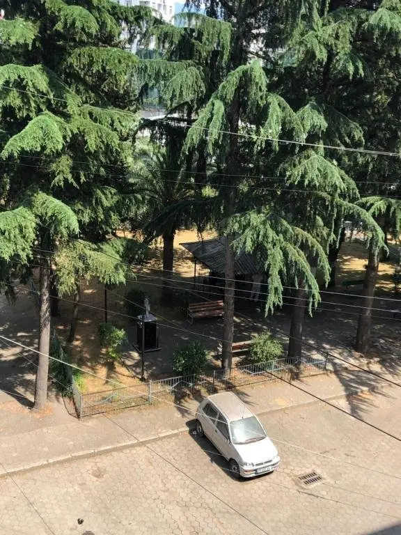 Батуми: apartament inasaridze 14