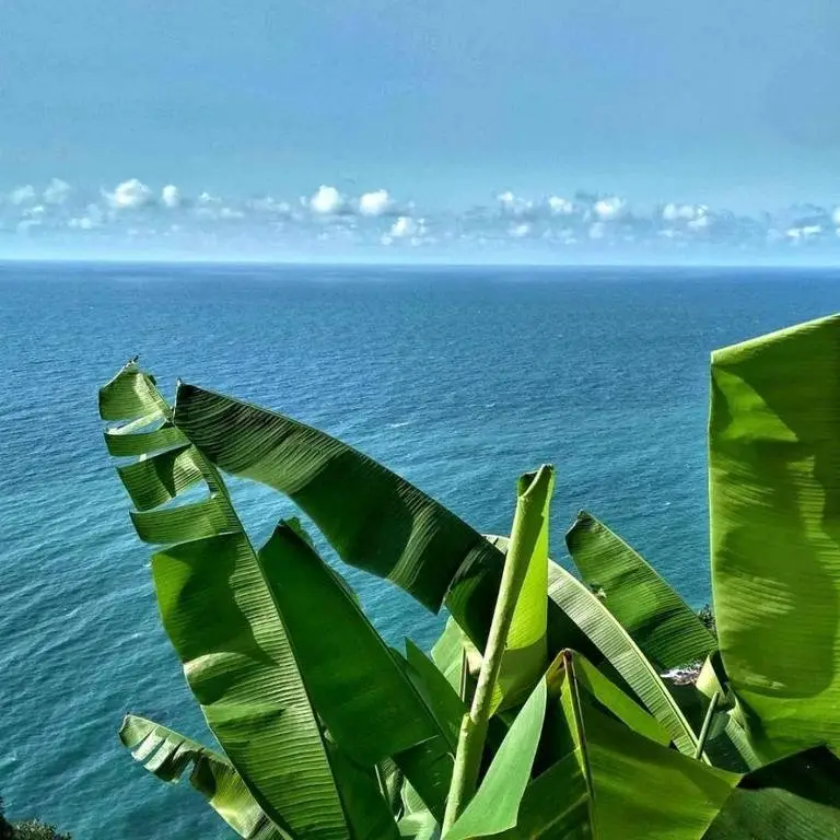 Батуми: Gonio 2