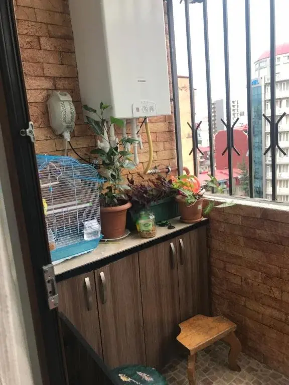 Батуми: Apartamenti on Griboedova 26