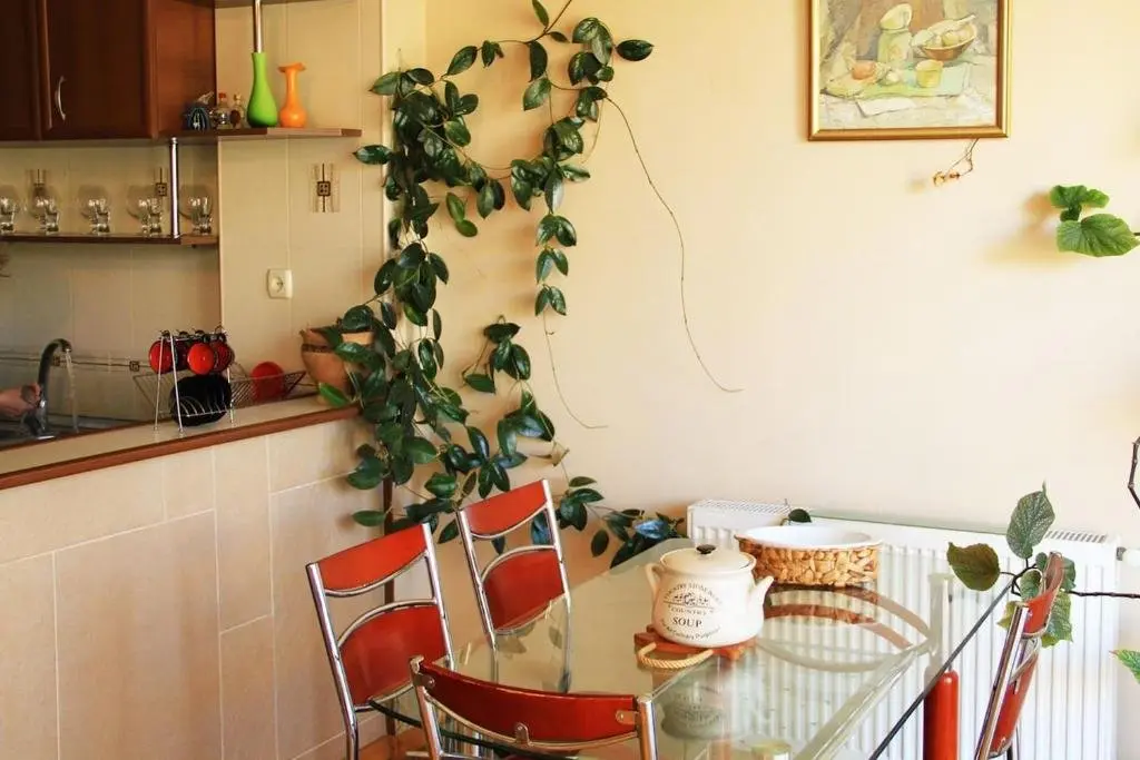 Тбилиси: Sunny Apartment In The City Center Surrounded By Nature